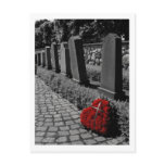 Cross My Heart Postcard