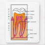 Cross Section Diagram of a Human Tooth Mousepads