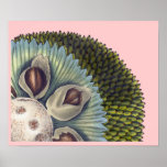 Cross Section of a Breadfruit - Tropical Foods