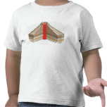 Cross-section of an ash-cinder volcano t-shirts