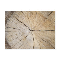 Cross section of tree trunk post cards