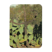 Cross Shaped Cactus Magnet