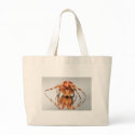 Cross spider on a mirror bags