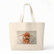 Cross spider on a mirror bags