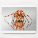 Cross spider on a mirror mousepads