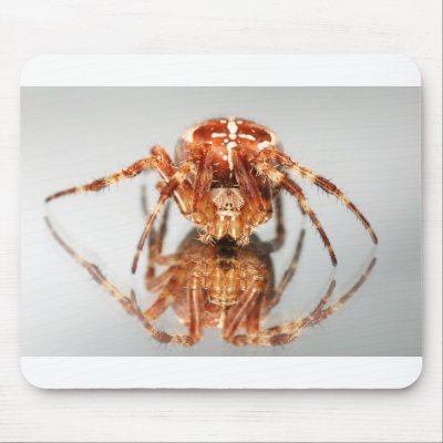 Cross spider on a mirror mouse mats by eurospiders