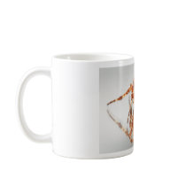 Cross spider on a mirror mugs