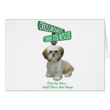 Crossroads ShihTzu Rescue Card