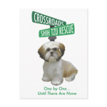 Crossroads ShihTzu Rescue Post Cards