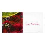 Croton Red photo cards