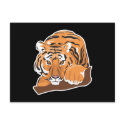 crouching bengal tiger postcards