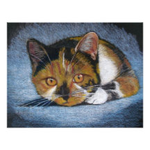 CROUCHING CAT: COLOR PENCIL ANNOUNCEMENTS