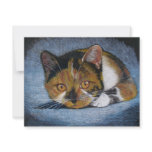 CROUCHING CAT: COLOR PENCIL ANNOUNCEMENTS