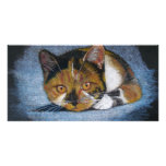 CROUCHING CAT: COLOR PENCIL photo cards