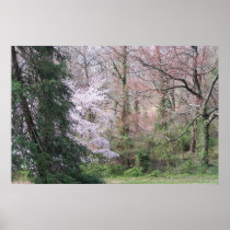 Crouching Tiger, Hidden Cherry Blo... - Customised