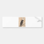 Crow Bumper Stickers