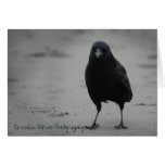 Crow cards