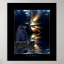 CROW Fantasy Art Poster posters