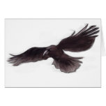 Crow Greeting Card