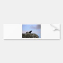 Crow guardian of Stone Henge Bumper Stickers