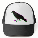 crow hats