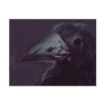 Crow left postcards
