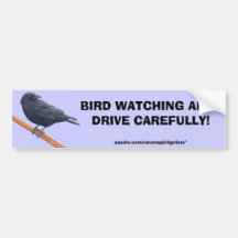 CROW ON A CABLE Bumper Sticker