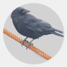 CROW ON A CABLE Stickers