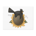 Crow on Sunflower Post Cards