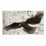 crow postcard background