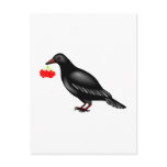 Crow With Berries Post Cards