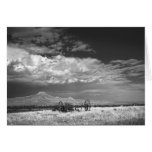 Crowheart Butte # 1 cards