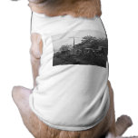 Crowley Ford Auto& Tractor Sales- Vintage ca. 1920 pet clothing