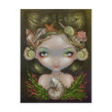 "Crown of Shells" Postcard