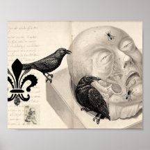 Crows and corpse print