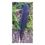Crows Feather Photo Card photo cards