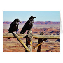 Crows Ravens Birds Black Greeting Cards