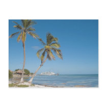 Cruise Ships in Costa Maya Post Cards