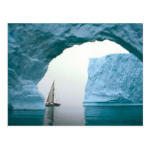 Cruising Antarctica Postcard