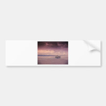 Cruising Bumper Sticker