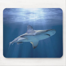 Cruising Shark Mouse Pads