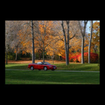 Cruising Through The Park posters