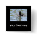 Cruising Tufted Duck buttons