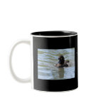 Cruising Tufted Duck mugs