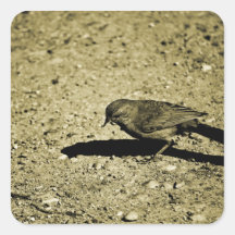 Crumbless.png Square Sticker