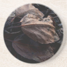 Crunchy Leaf Litter Beverage Coaster