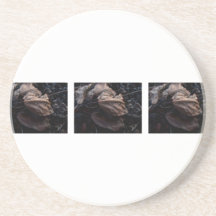 Crunchy Leaf Litter Beverage Coaster