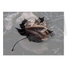 Crunchy Leaf Litter; Customisable Cards