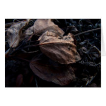 Crunchy Leaf Litter; Customisable Greeting Cards