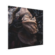 Crunchy Leaf Litter Stretched Canvas Print